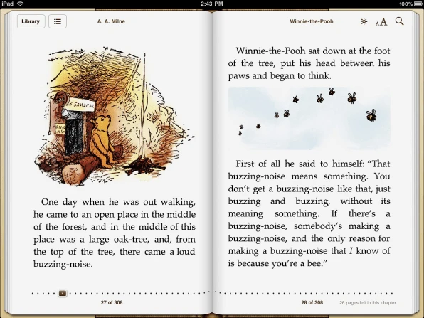 Versione iPad di un e-reader